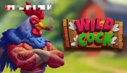 Wild Cock